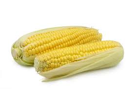 images[1]