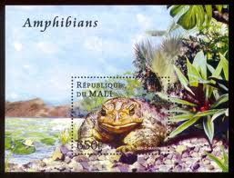 Immune functions of toads from pesticide-contaminated sites of Bermuda are significantly altered, which may contribute to the decline in their population