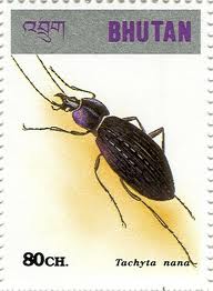 images[2]