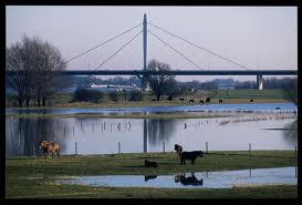 images[3]