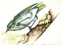 images[4]