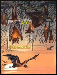 images[5]