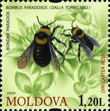 images[5]