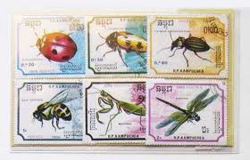 images[7] (2)