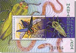 images[7]