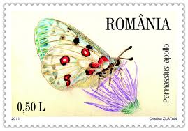 imagesCA64ZGTK