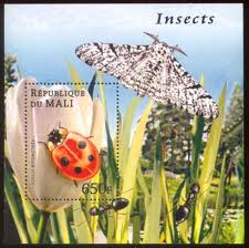 imagesCA8XS6MG