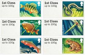 Mesomycetozoean parasites threaten amphibian and freshwater fish populations