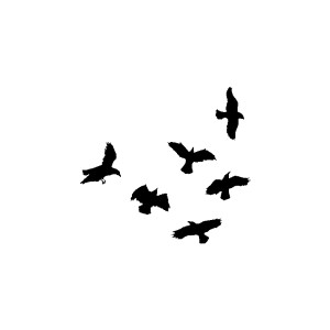 img-thing[1]