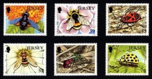 insect-jersey[1]