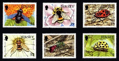 insect-jersey[1]