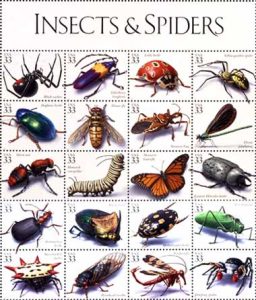 insect_spider[1]