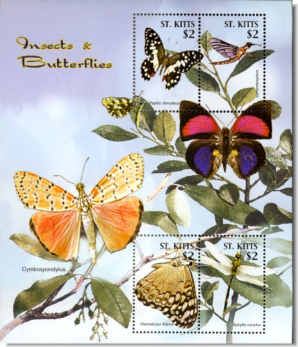 insects
