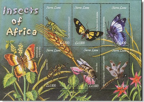 insects