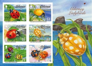 insects