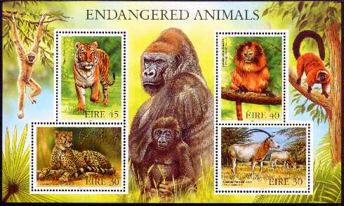 Three leading Australian environmental scientists have called for a substantial change to the way the world responds to wildlife that is going extinct