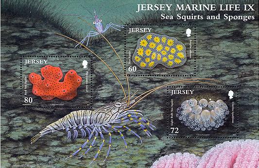 jersey-stamp-on-marine-life[1]