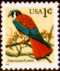 kestrelstamp[1]