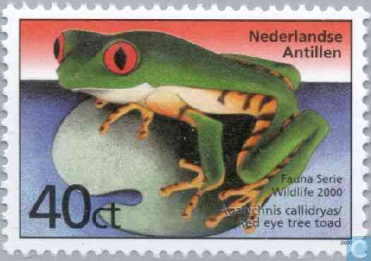 Pesticiden roeien de kikkers uit