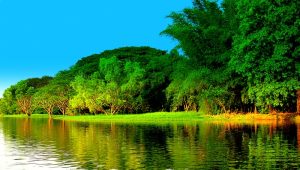lake