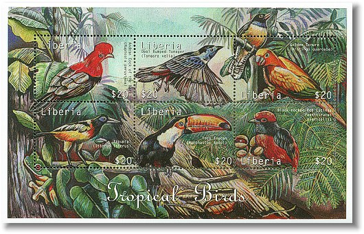 lib0232sh-tropical6birds[1]