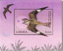 lib0273ss1nighthawk[1]