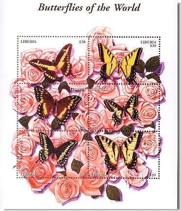 lib0432sh2black-yel-bf[1]
