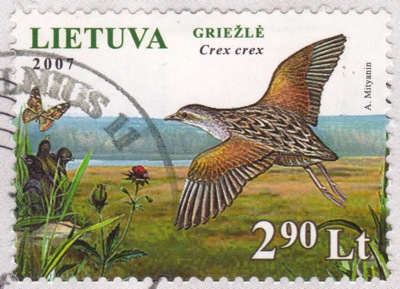 lithuania-corn-crake[1]