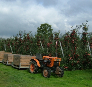 logo_fruitteelt[1]