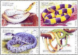 mad0105year9snake[1]