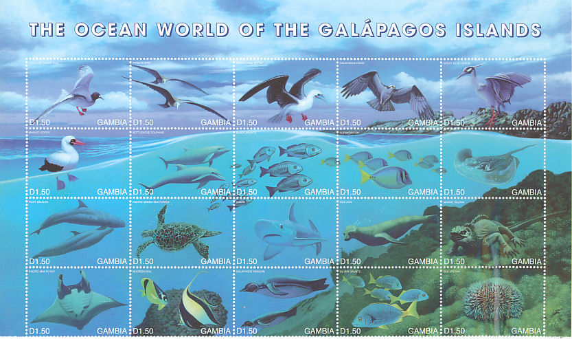 marine life of the galapagos islands