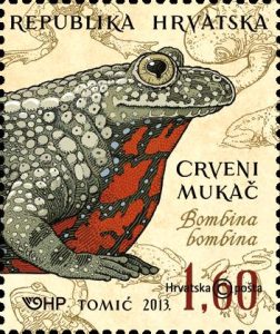 marka-fauna-vodozemci-1[1]