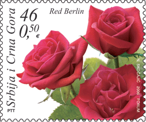marka_flora431[1]