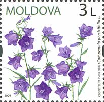md657[1]
