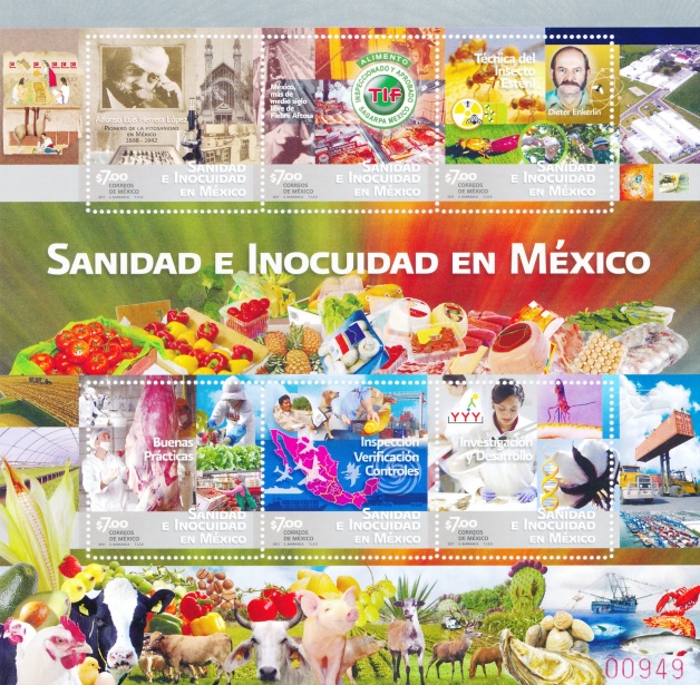mexico11foodsafetysht[1]