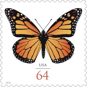 monarch