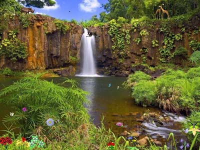 nature_reservation[1]