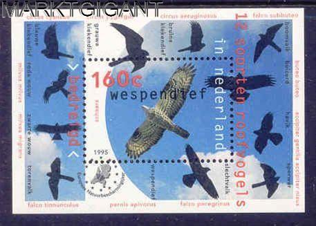 natuur-en-milieu-1995-wespendief-nvph-1652[1]