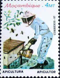 naviga6[1]
