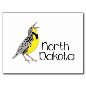 nordakota_meadowlark_postcard-re36aa11b81634725b80c2b68326f6b6f_vgbaq_8byvr_324