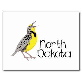 nordakota_meadowlark_postcard-re36aa11b81634725b80c2b68326f6b6f_vgbaq_8byvr_324