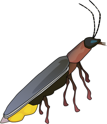 normal_ian-symbol-firefly