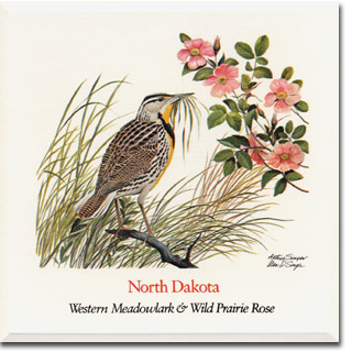 northdakota_card[1]