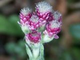 nwsbericht_168[1]