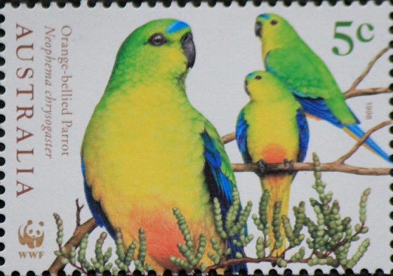 orange-bellied-parrot-stamp[1]