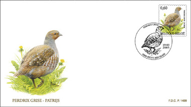 patrijs