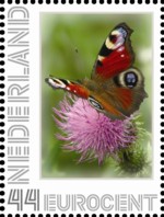 Dode bij, stille lente