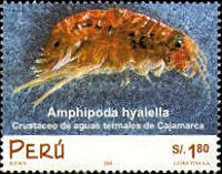 peru
