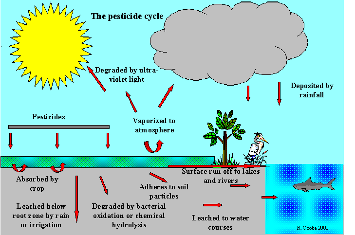 pestic5[1]