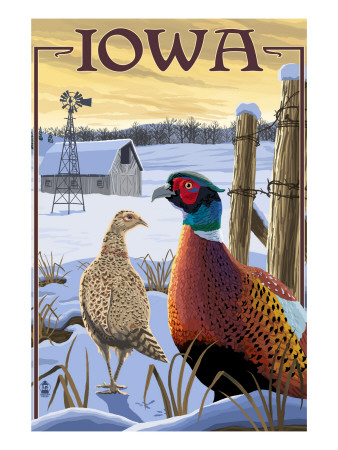 pheasants-iowa[1]